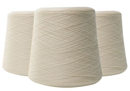 Jiangsu Haoye Fiber Technology Co, Ltd.